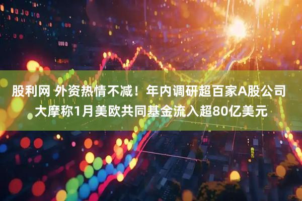 股利网 外资热情不减！年内调研超百家A股公司 大摩称1月美欧共同基金流入超80亿美元