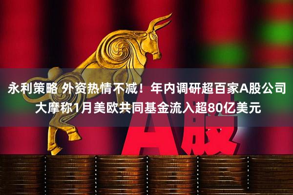 永利策略 外资热情不减！年内调研超百家A股公司 大摩称1月美欧共同基金流入超80亿美元