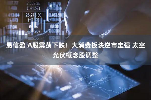 易信盈 A股震荡下跌！大消费板块逆市走强 太空光伏概念股调整