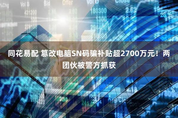 同花易配 篡改电脑SN码骗补贴超2700万元！两团伙被警方抓获