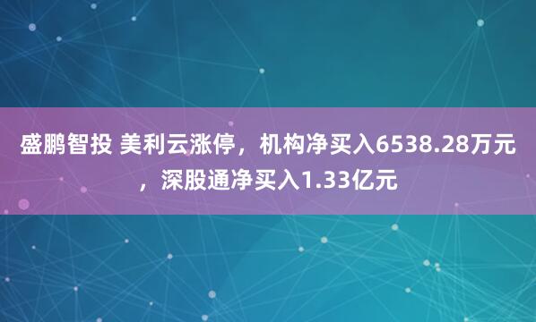 盛鹏智投 美利云涨停，机构净买入6538.28万元，深股通净买入1.33亿元